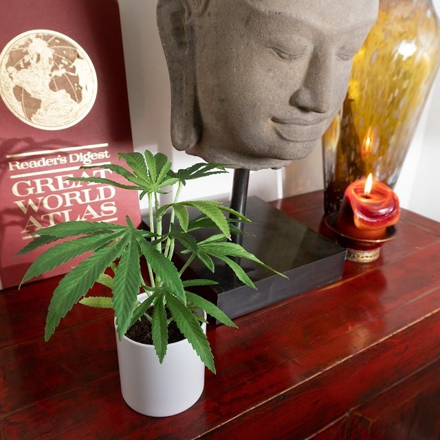 Faux Silk Potted Plant 10" Clone Black - 3
