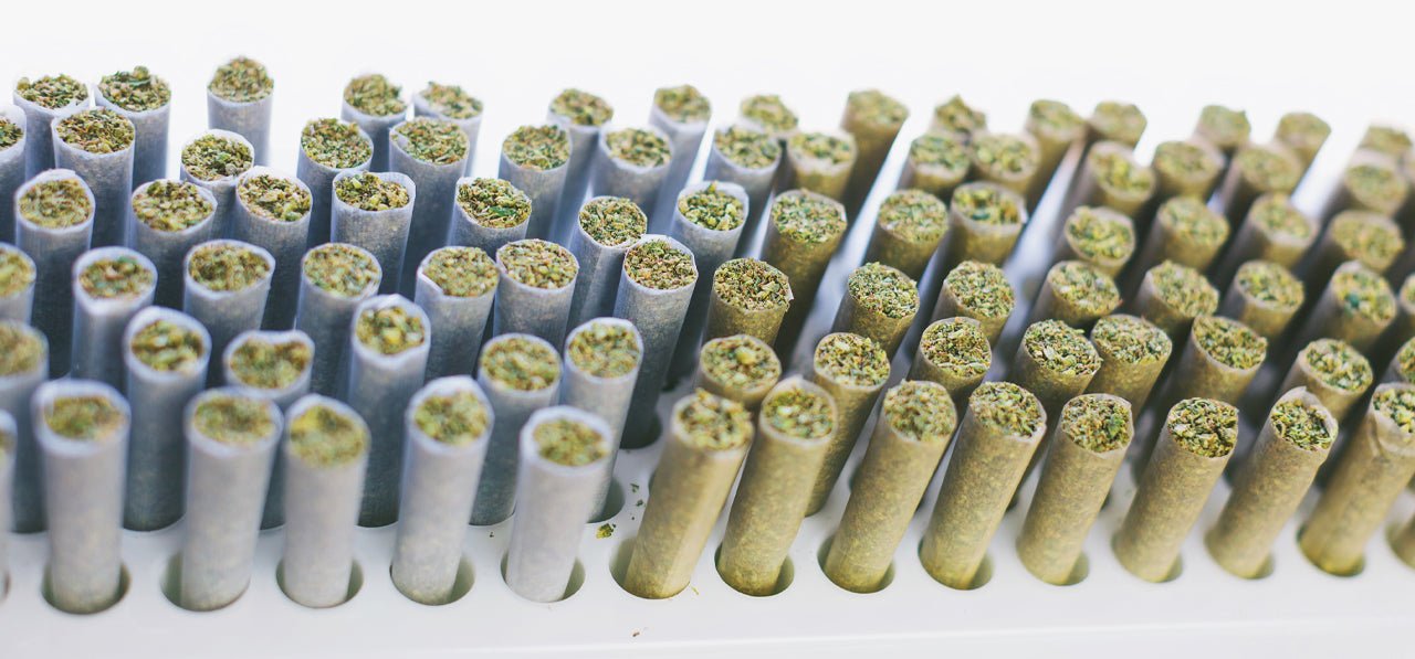 How To Produce Pre-Rolls The Definitive Guide - 420 Packaging