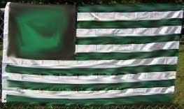 3'x5' Rasta American Flag - 1