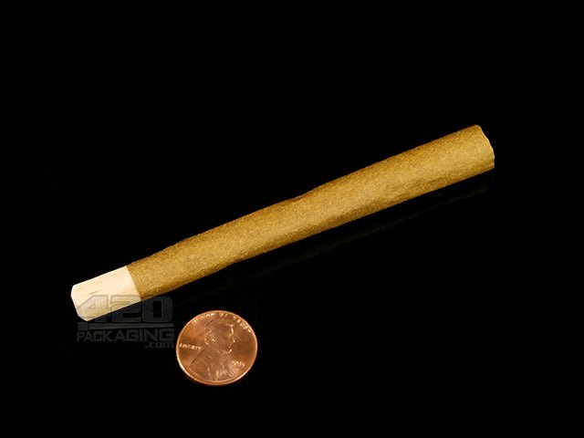 Cyclones Sugar Cane Flavored Hemp Cones With Wooden Tips 24/Box - 4